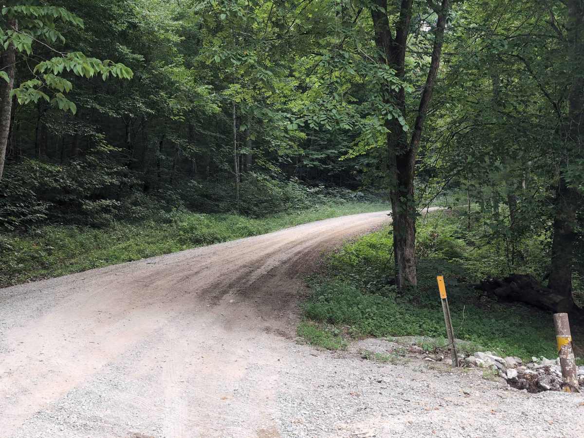 Elsam Fork Road - FS 345 photo 4