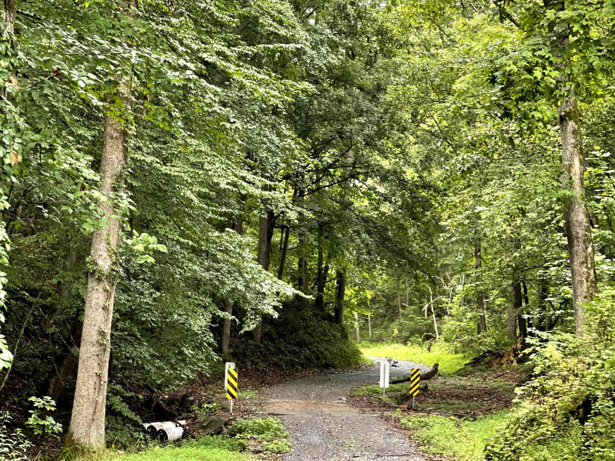 Whiteside Road trail photo