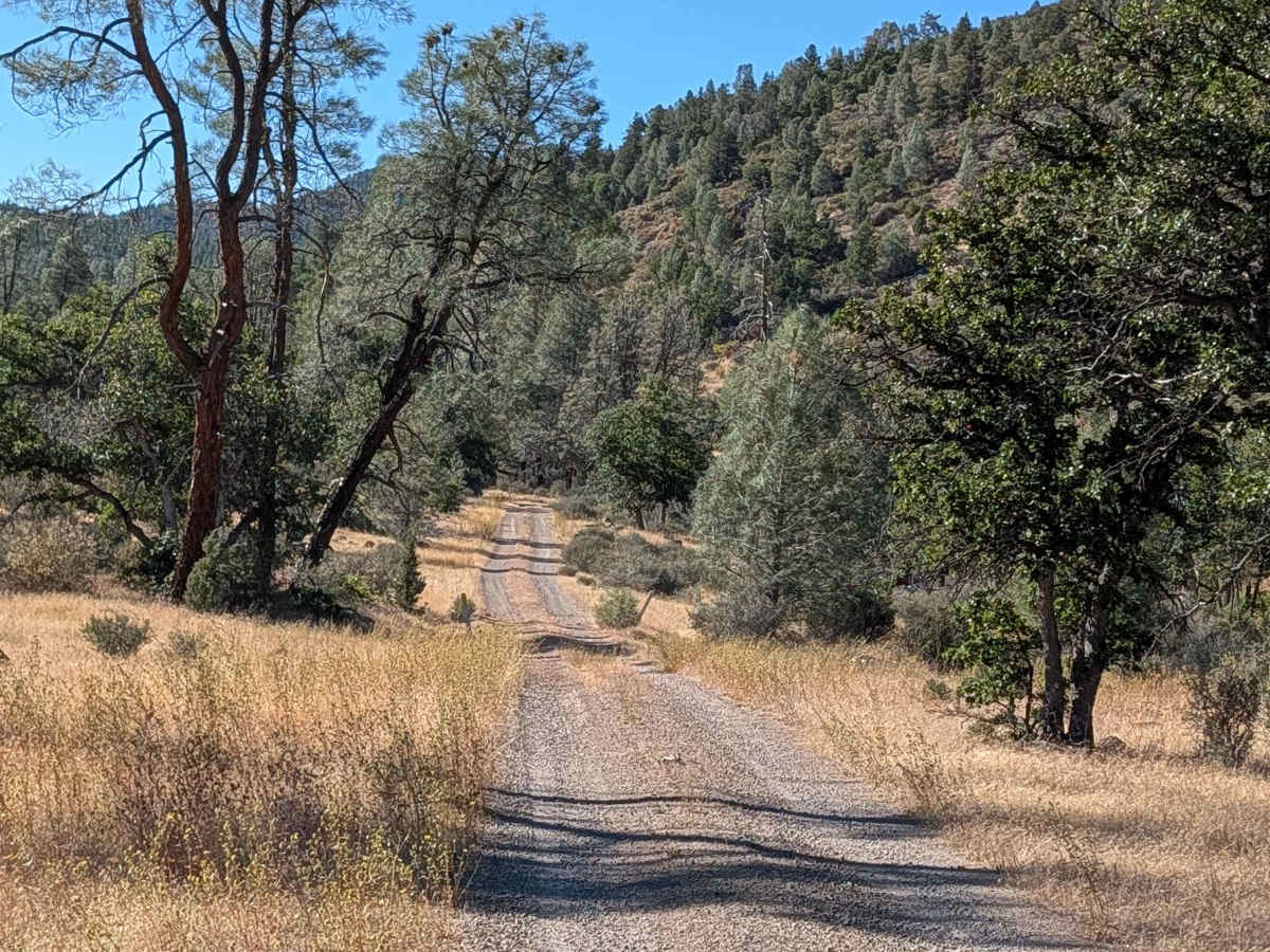 Pit Canyon Flat - FS 37N57Y photo 3