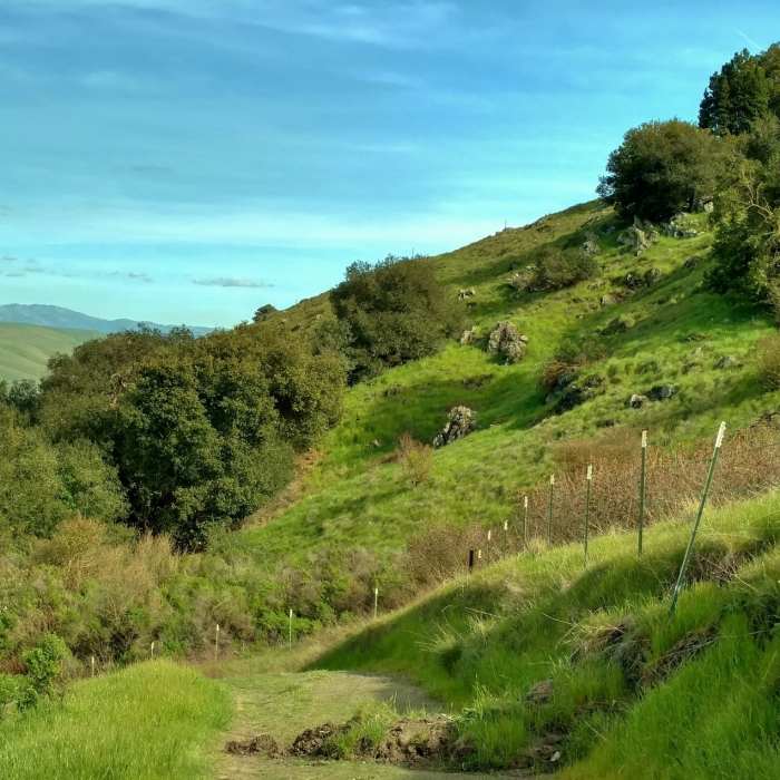 Near Ohlone Trail