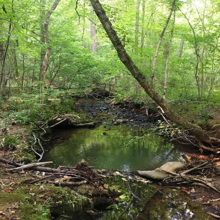 Near Cedarock Park Tour