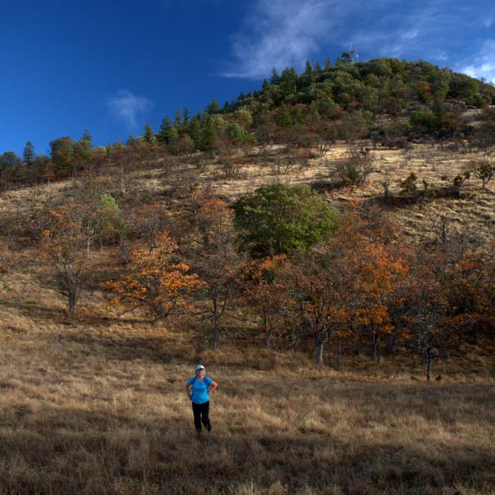 Along the Oak Trail below Roxy Ann Peak Near Ponderosa Trail