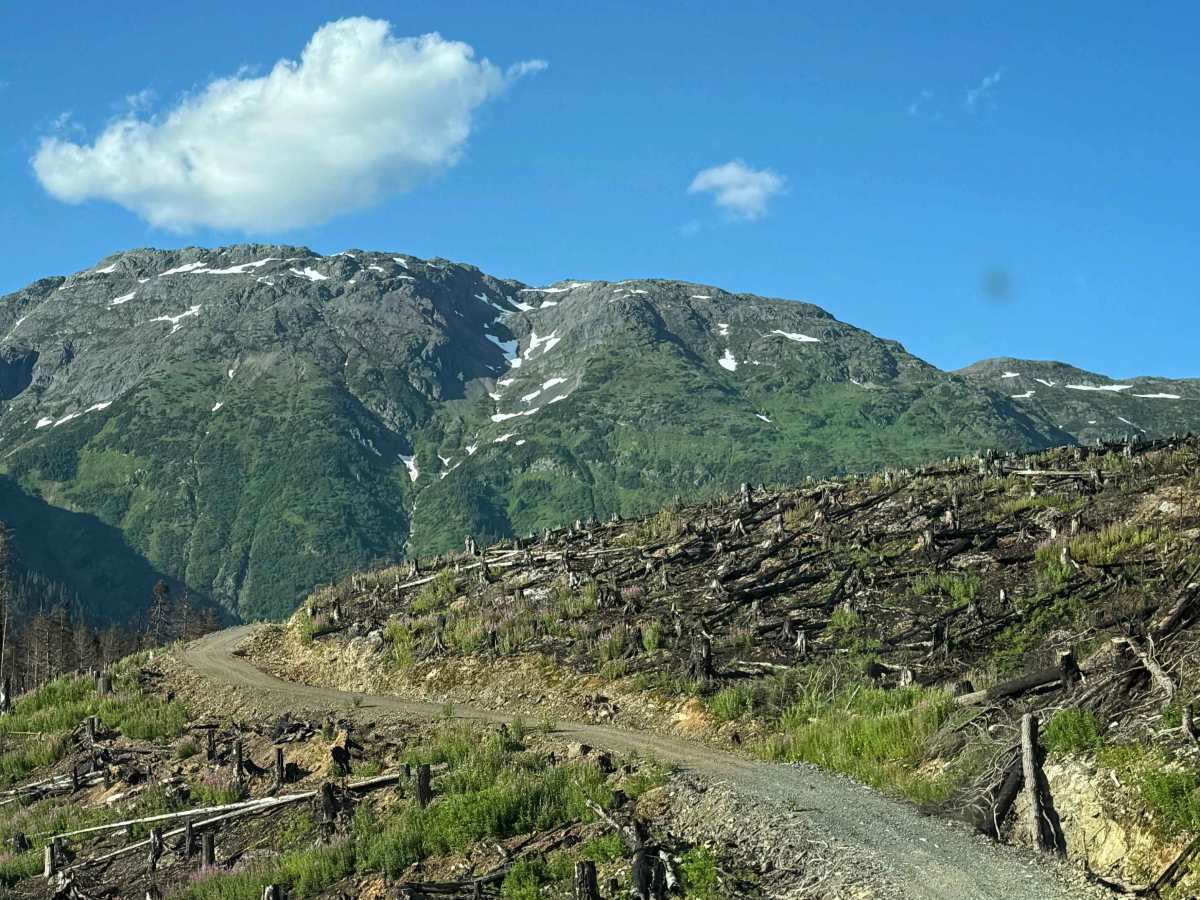 Oliver Creek Trail photo 2