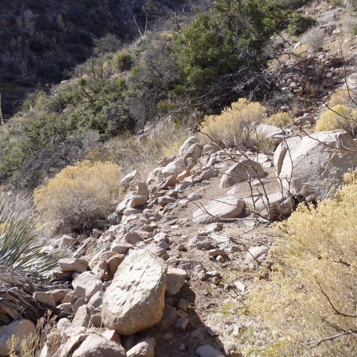 Example of trail conditions (as of Dec 2020) Near Cookes Peak Trail (Southern Route)