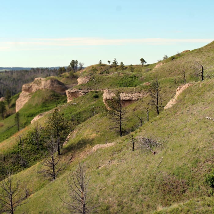 Near Chadron State Park Near Chadron State Park