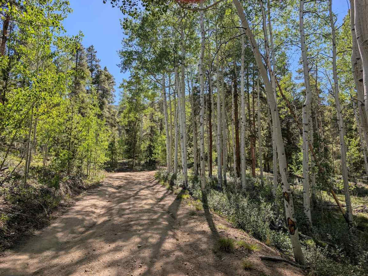 Flume Gulch Road photo 4