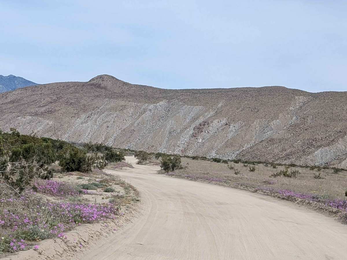 Coyote Canyon Road photo 5