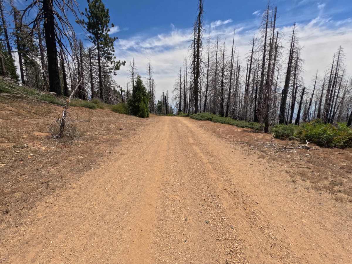 Rocky Cabin Spring - FS 24N40 photo 6