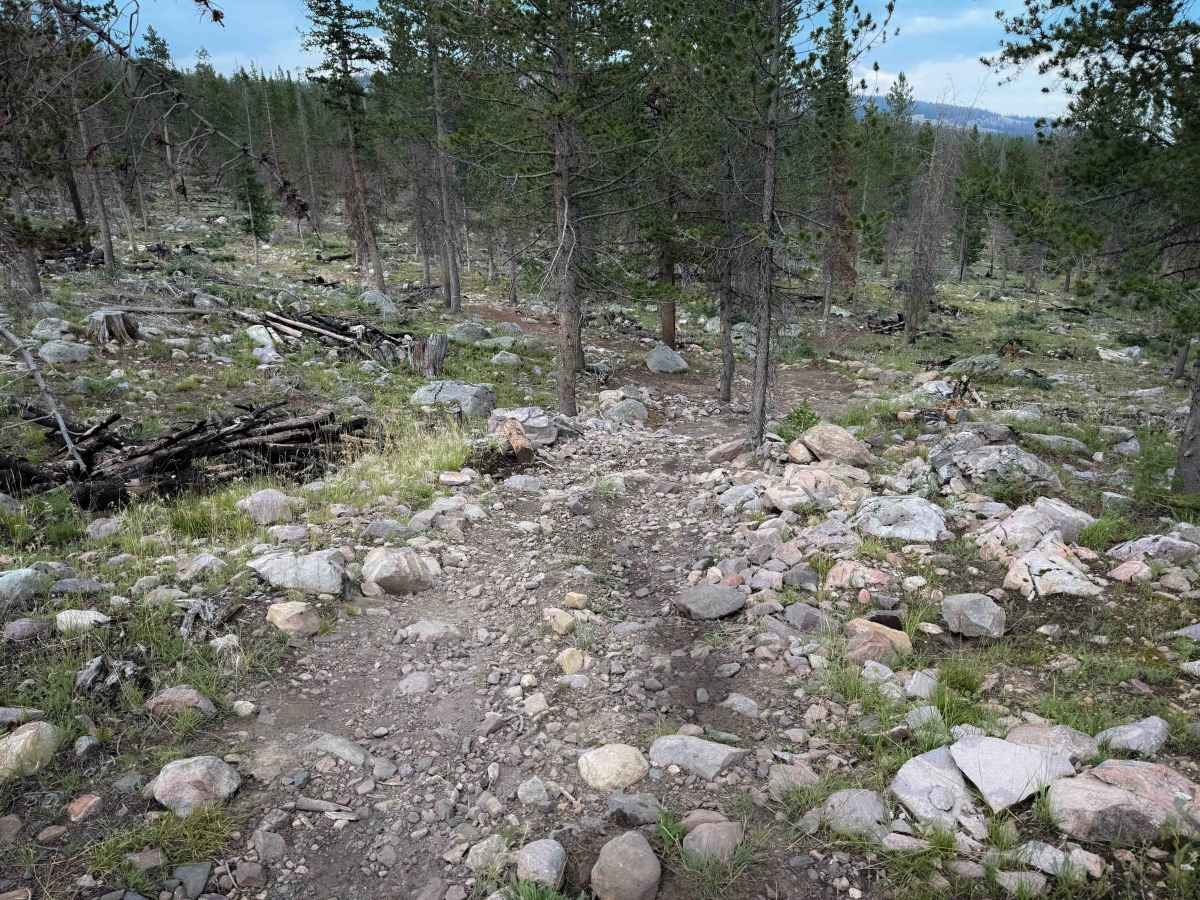 Broadhead Loop - FS 306  photo 2