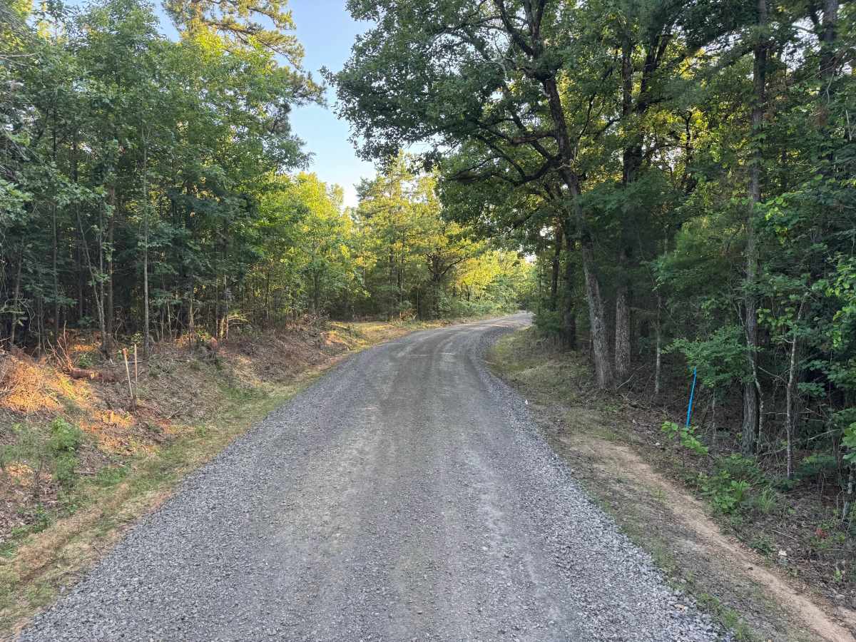 Elkins Hollow photo 4