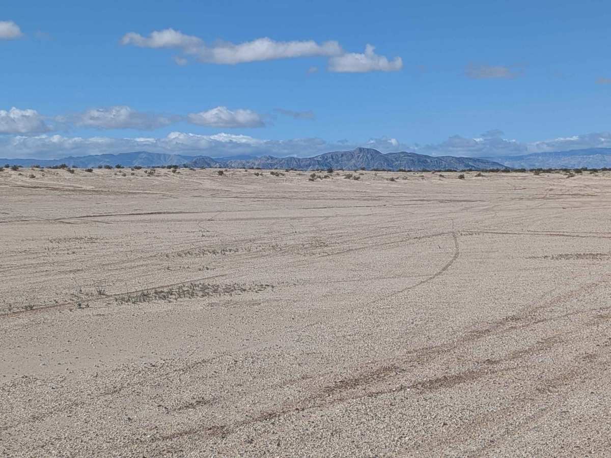BLM 340 photo 6