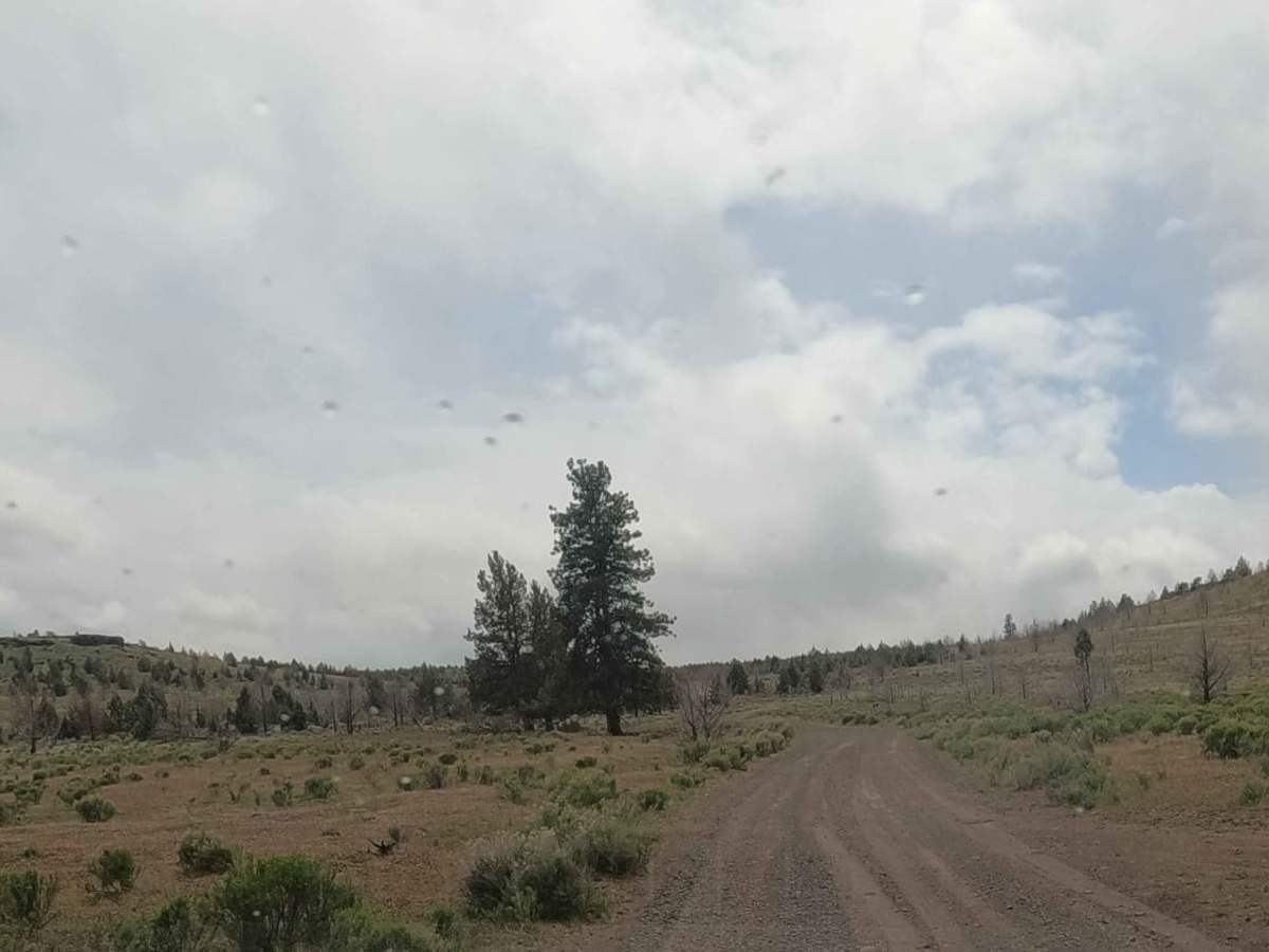 Alder Springs photo 6