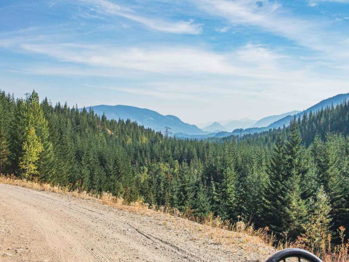 Yakima Pass trail photo