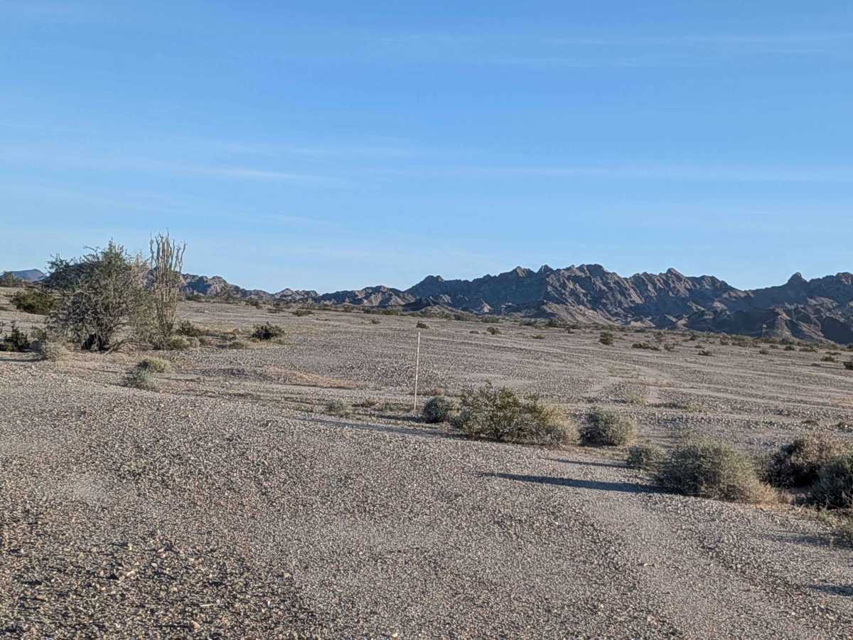 BLM 770 photo 4