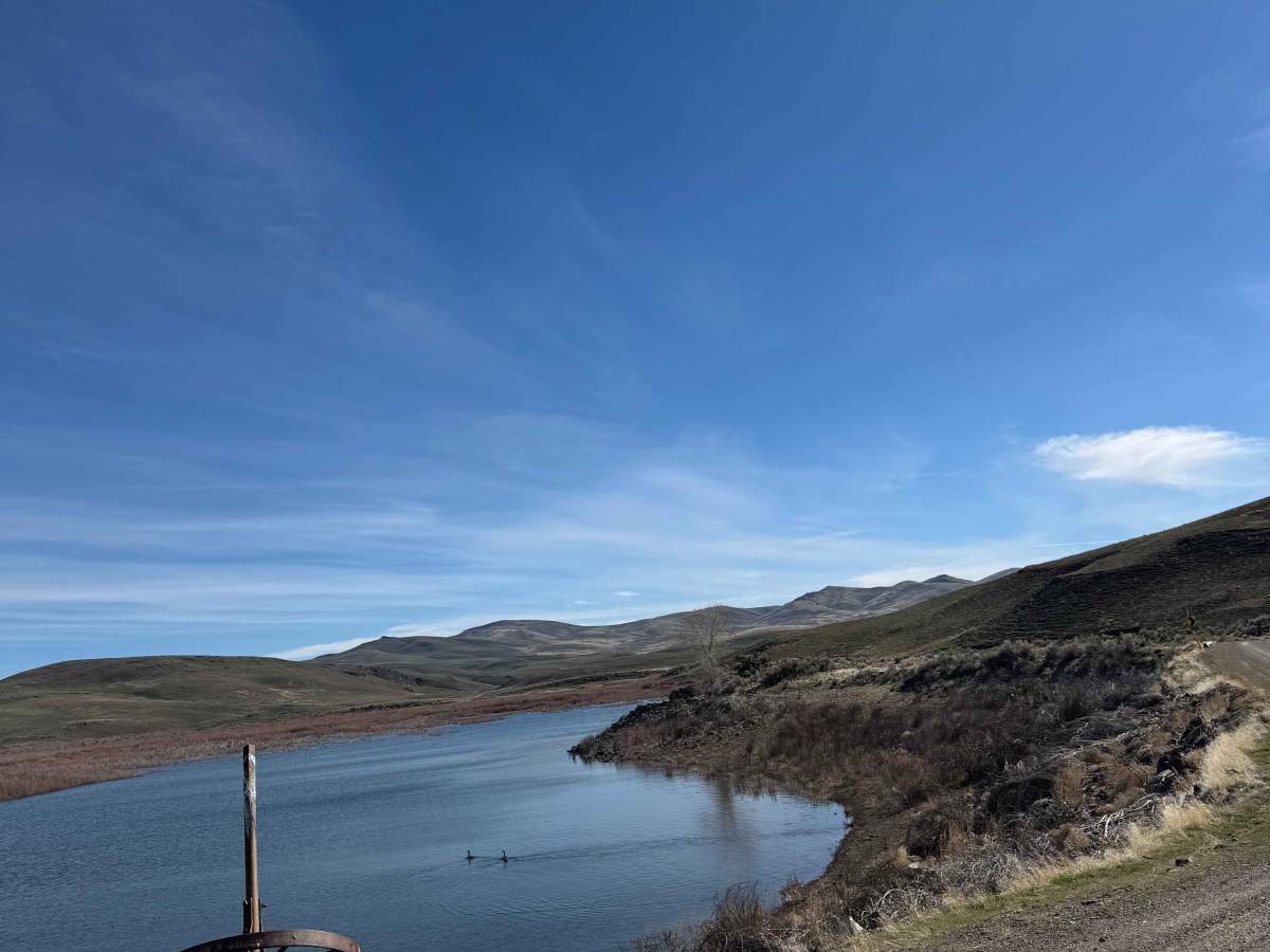 Four Mile Creek Road photo 5