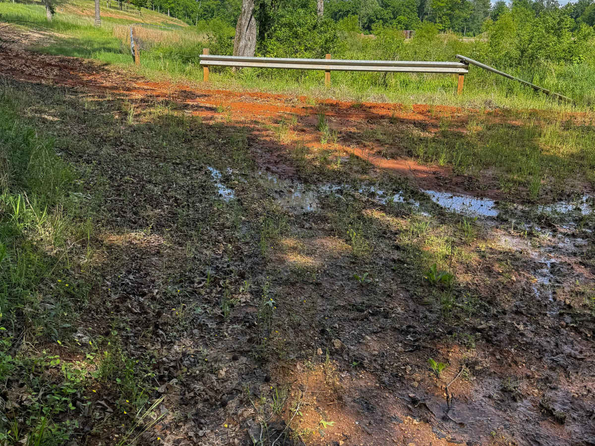 Red Clay Cut Thru trail photo