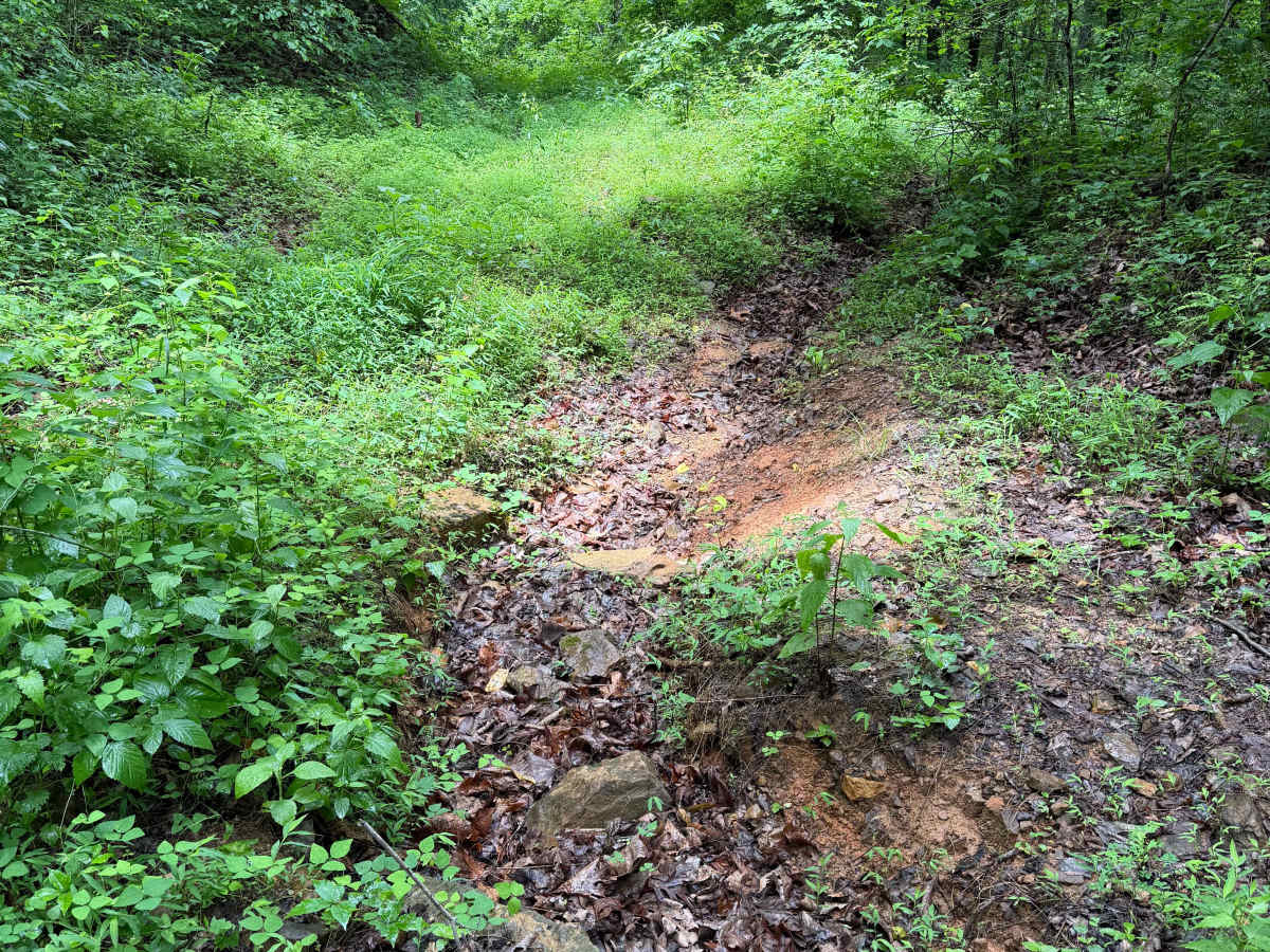 Lonny's Ground photo 5