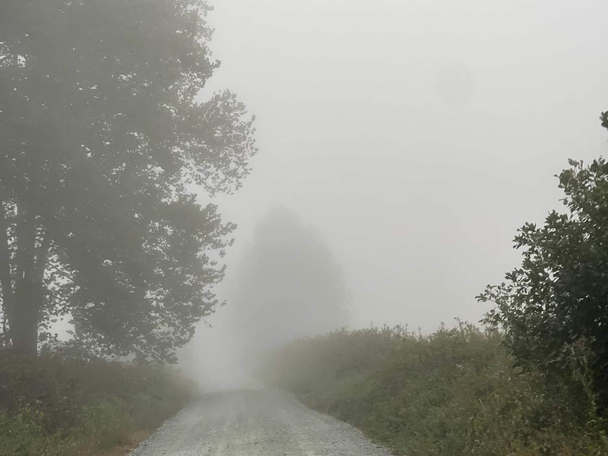 Watauga River Road photo 5