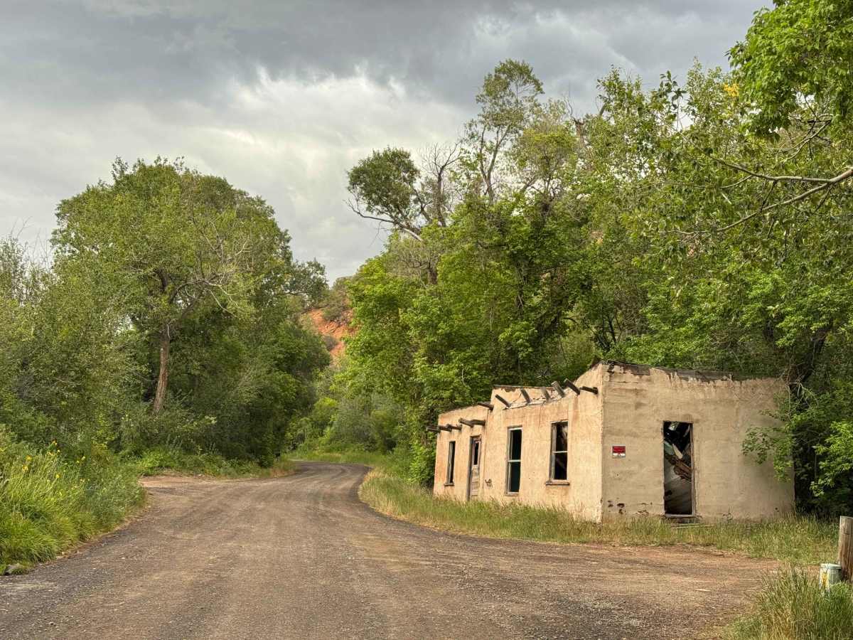 Copper Spur Road trail photo