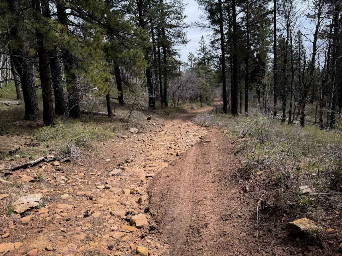 Trail 16 Loop  photo 6