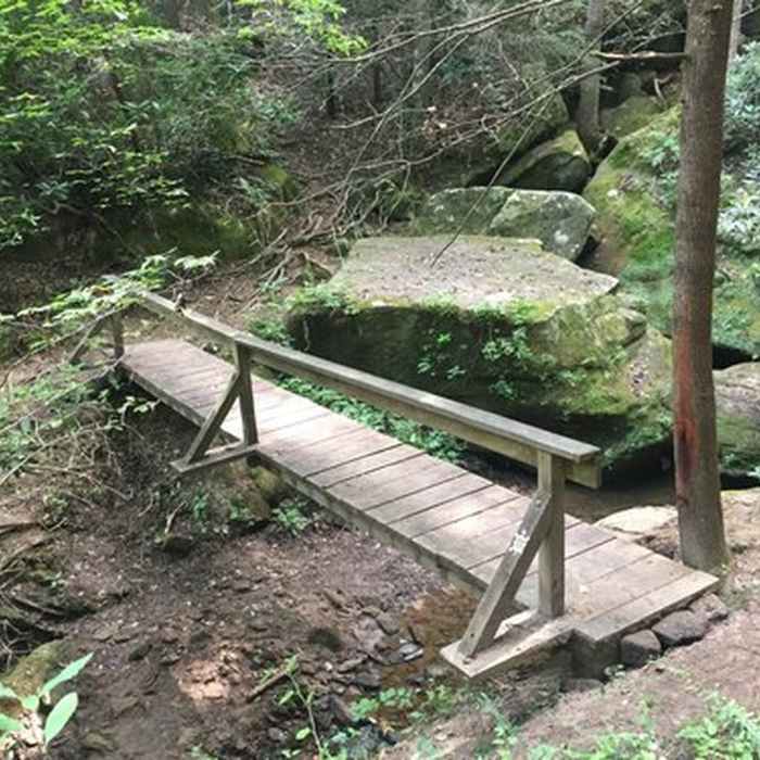 Near Sheltowee Trace NRT: Section 27