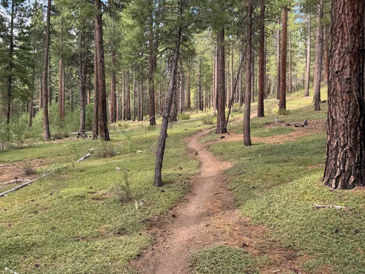 #29 trail photo