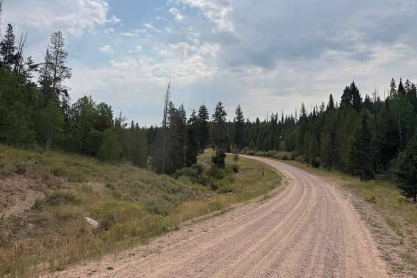 Reed Creek Road - FS 440 