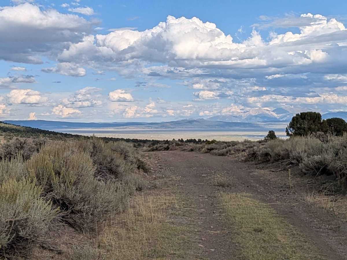 Coyote Springs Road trail photo