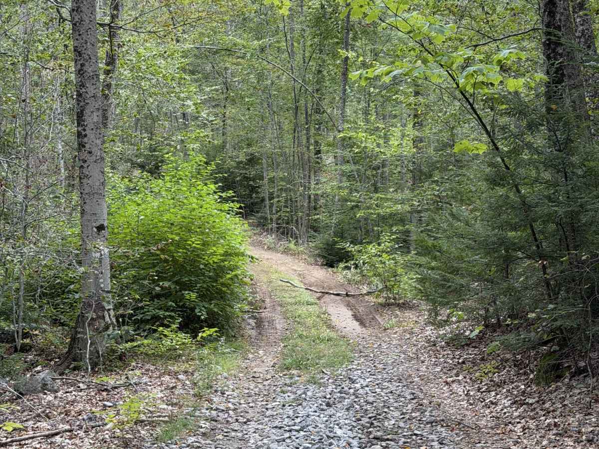 Jewett Road photo 2