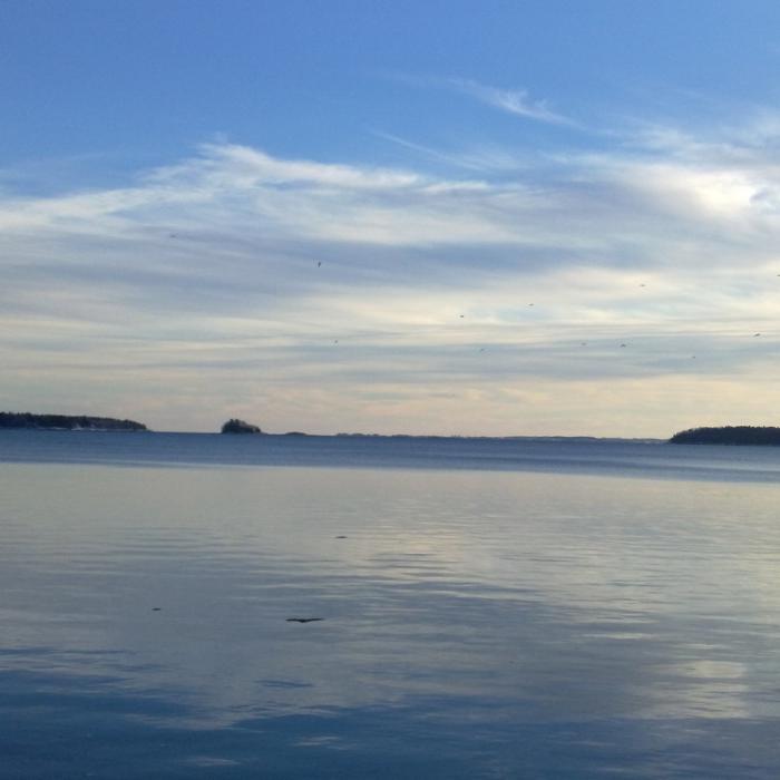 Wolfe's Neck , Maine Near Wolf Necks Woods Loop