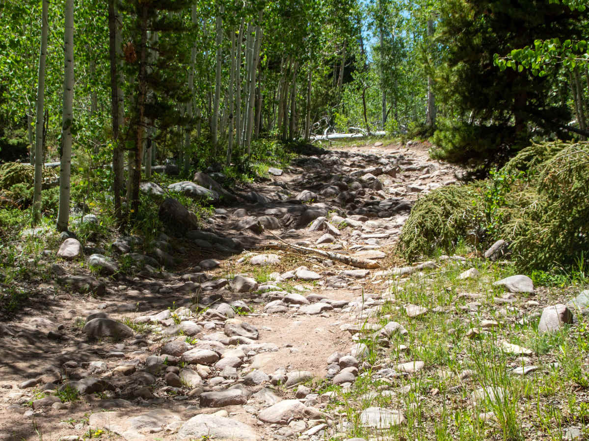 Deadhorse - FS 40005 trail photo