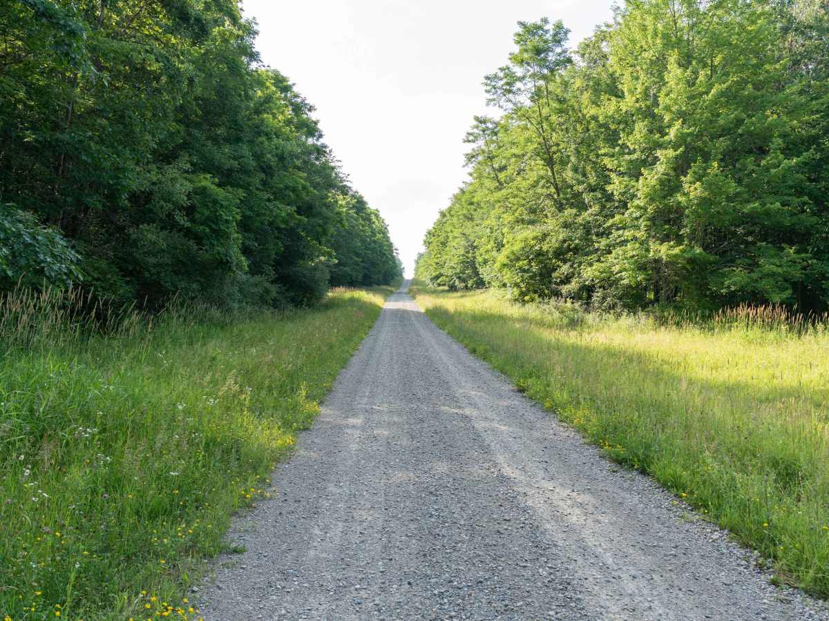 Ebert Road photo 6