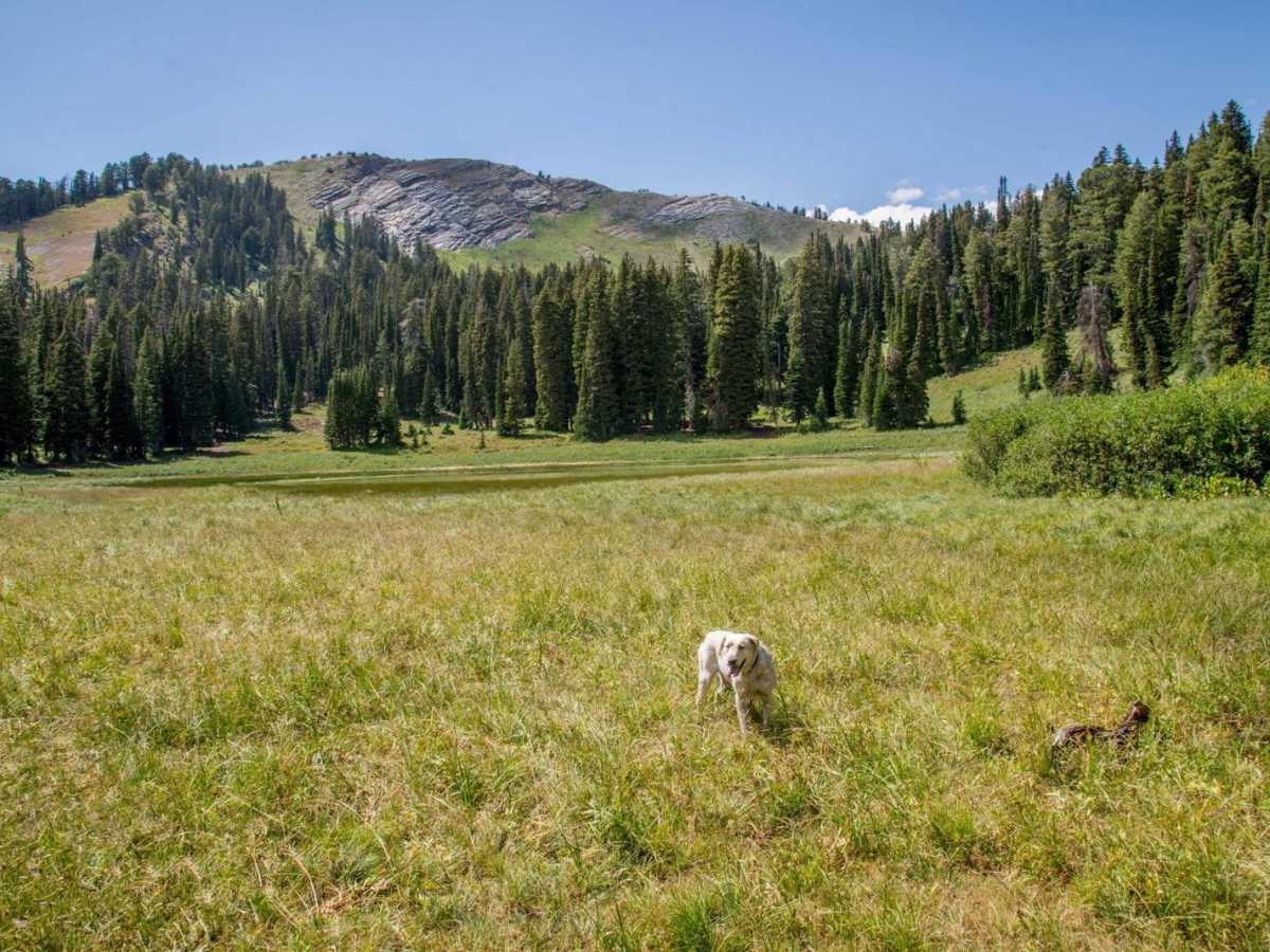 Gibson Lakes photo 3