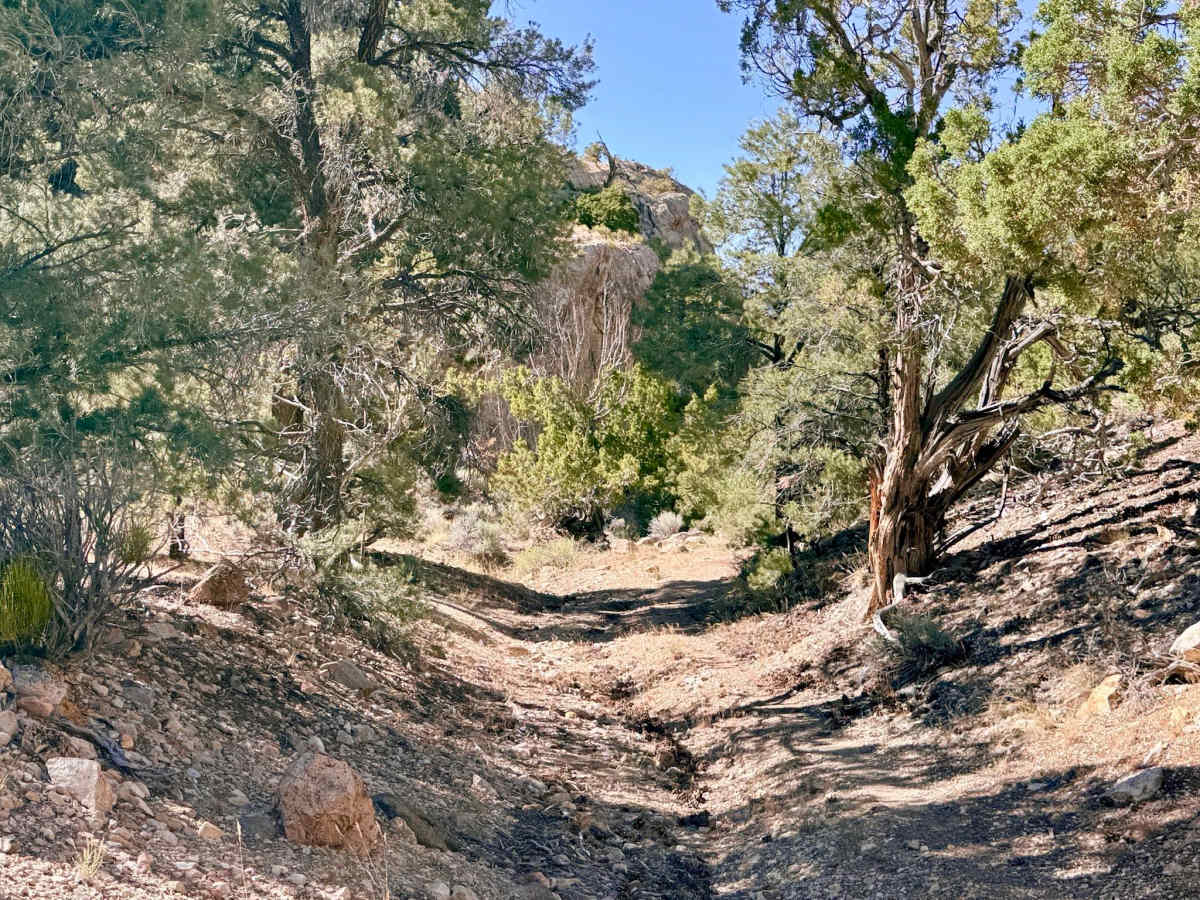 Segura Spring photo 2