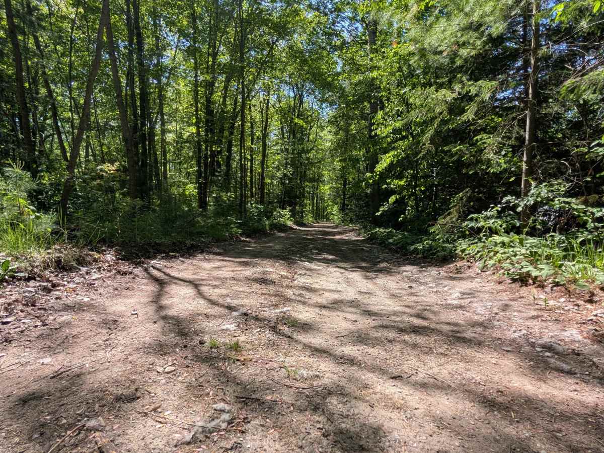 Newman Road photo 2