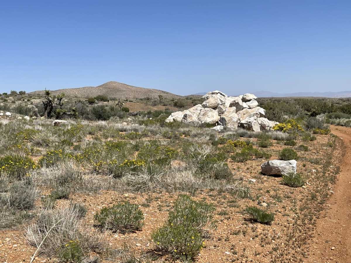 The "Shooting Range" Quarry photo 4