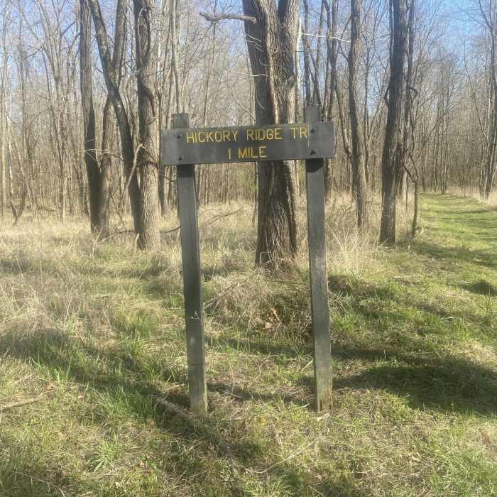 Near Vermillion River Trail