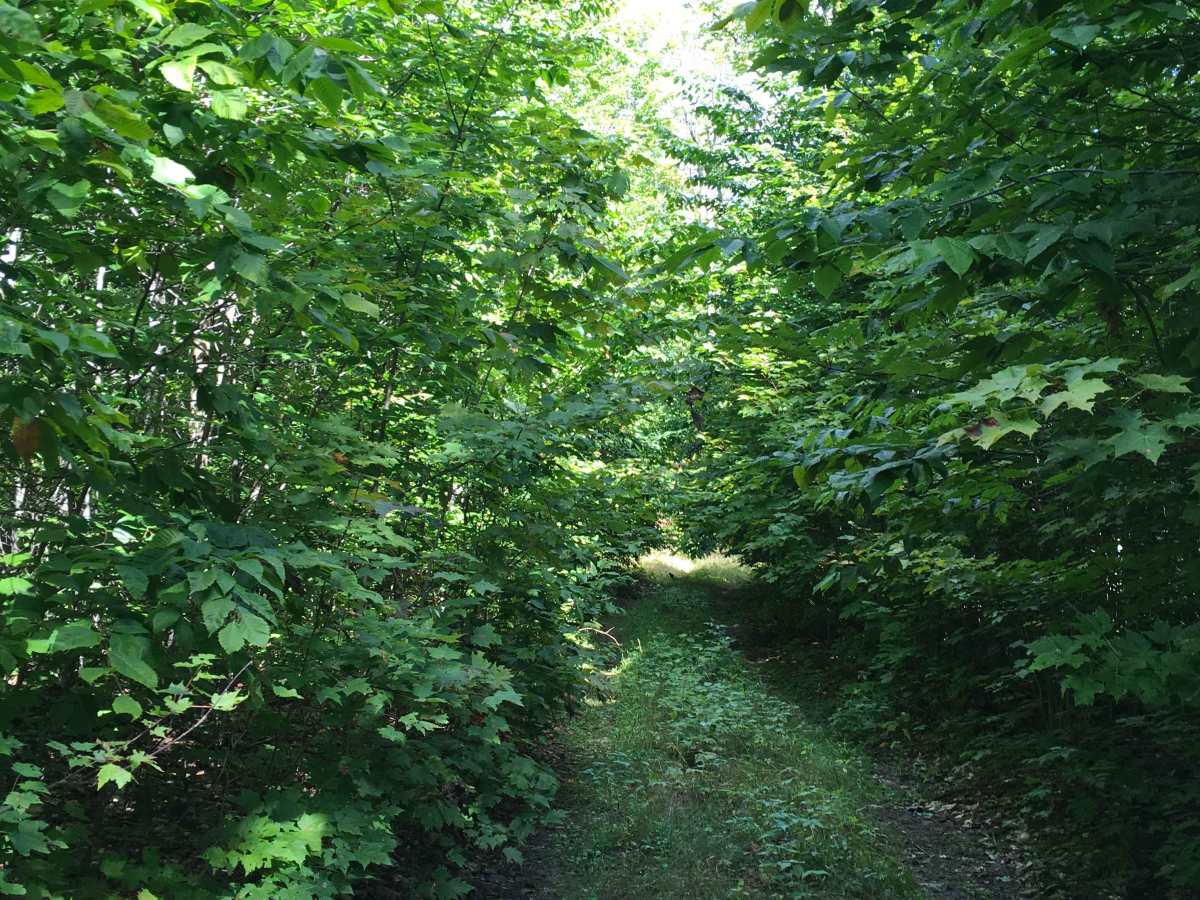 Spencer Trail photo 2