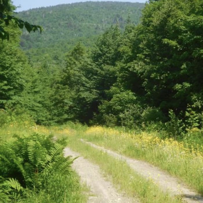 Near Signal Mountain
