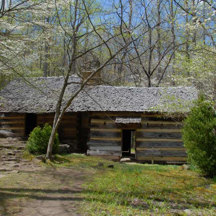Old cabin on the Porters Creek Trail. Near Porters Creek Trail