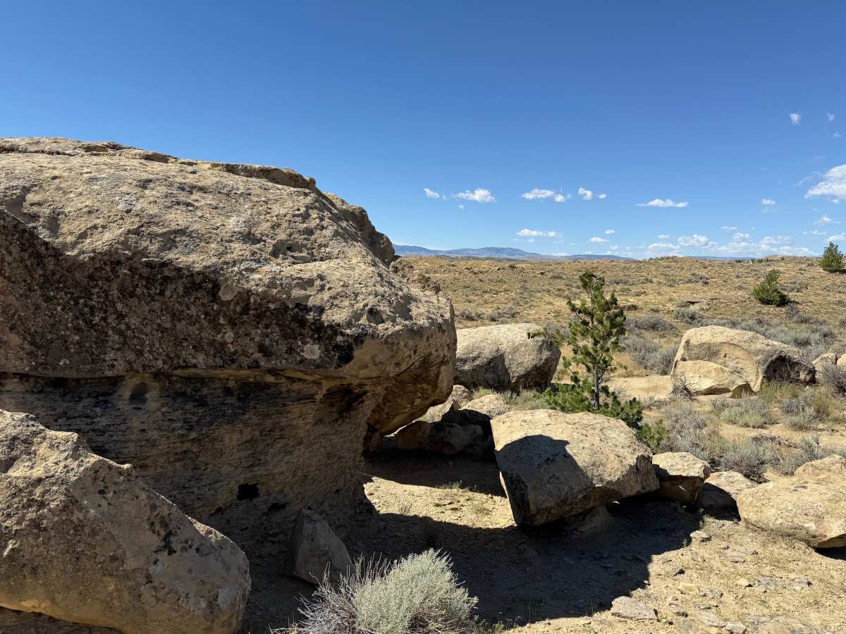 Lower Road trail photo