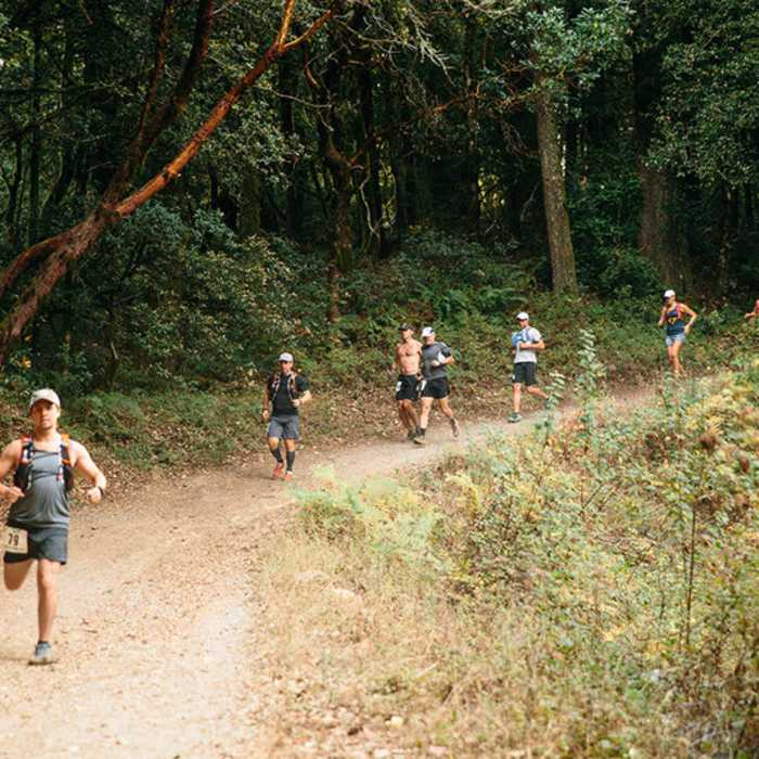 Near Bay Area Ridge Trail: Purisima Creek Redwoods Open Space Preserve