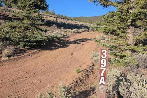 Poacher's Loop
