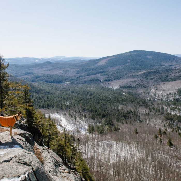 Near Boulder Loop Trail Near Boulder Loop Trail