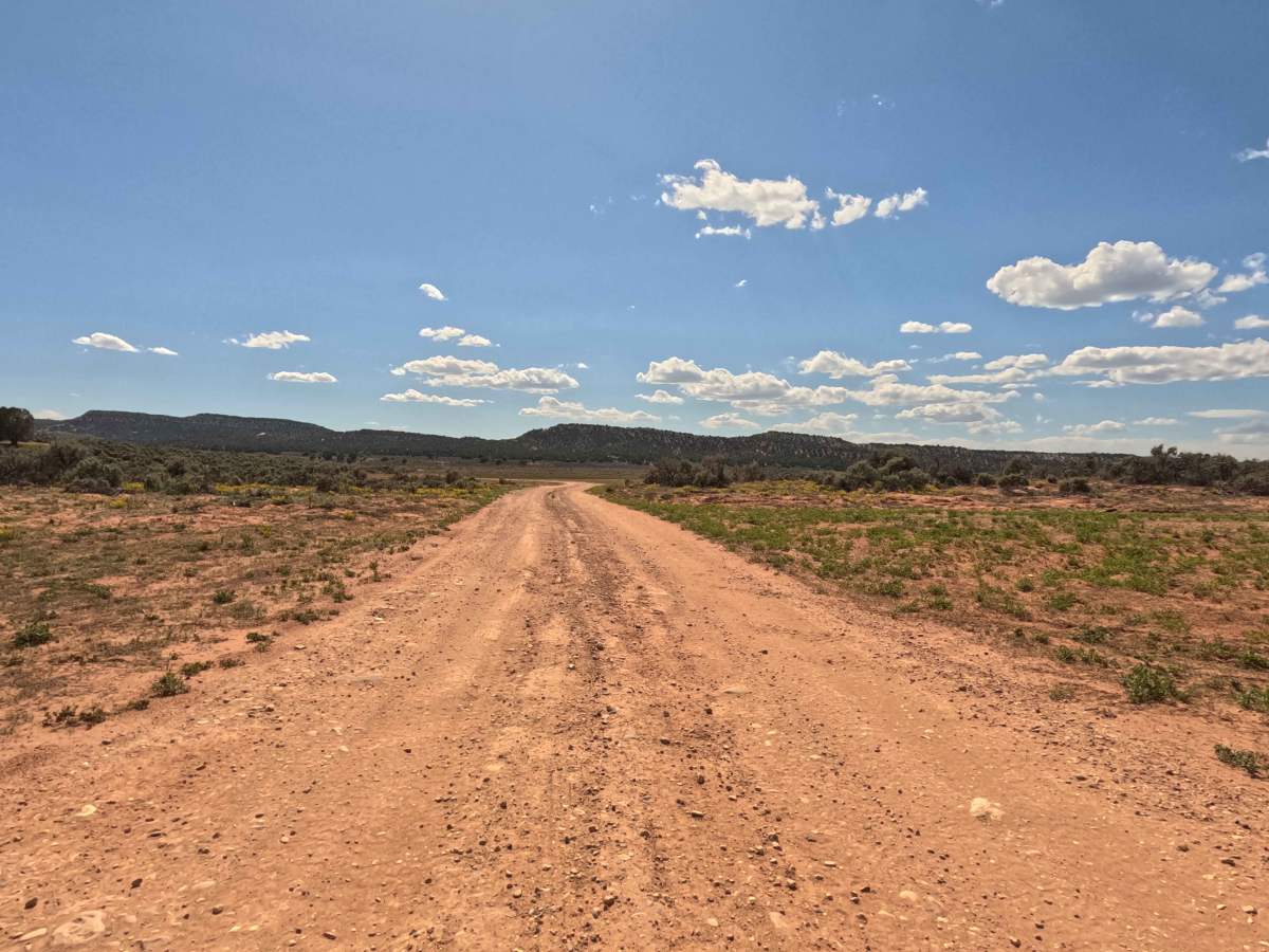 BLM 42 photo 4