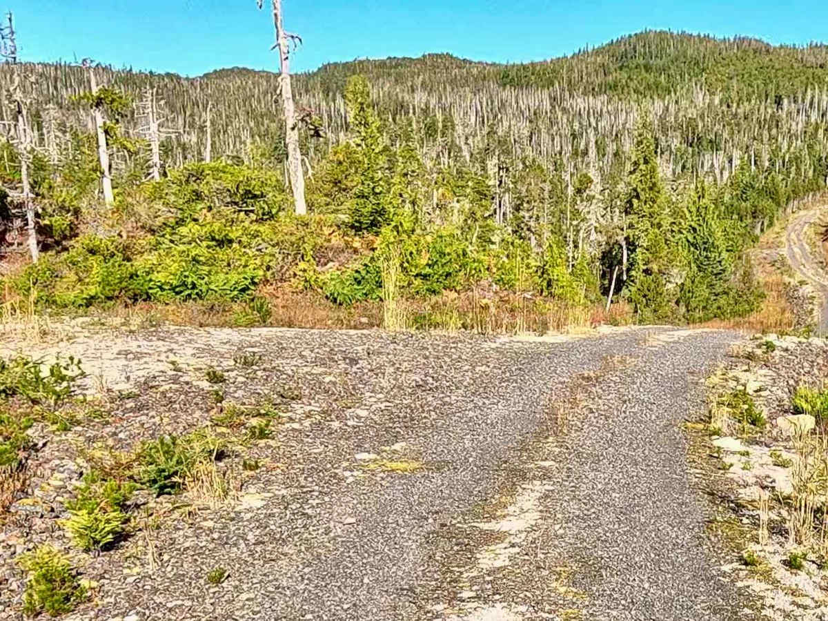 Fiddler Creek Road - FS 3015635 photo 4