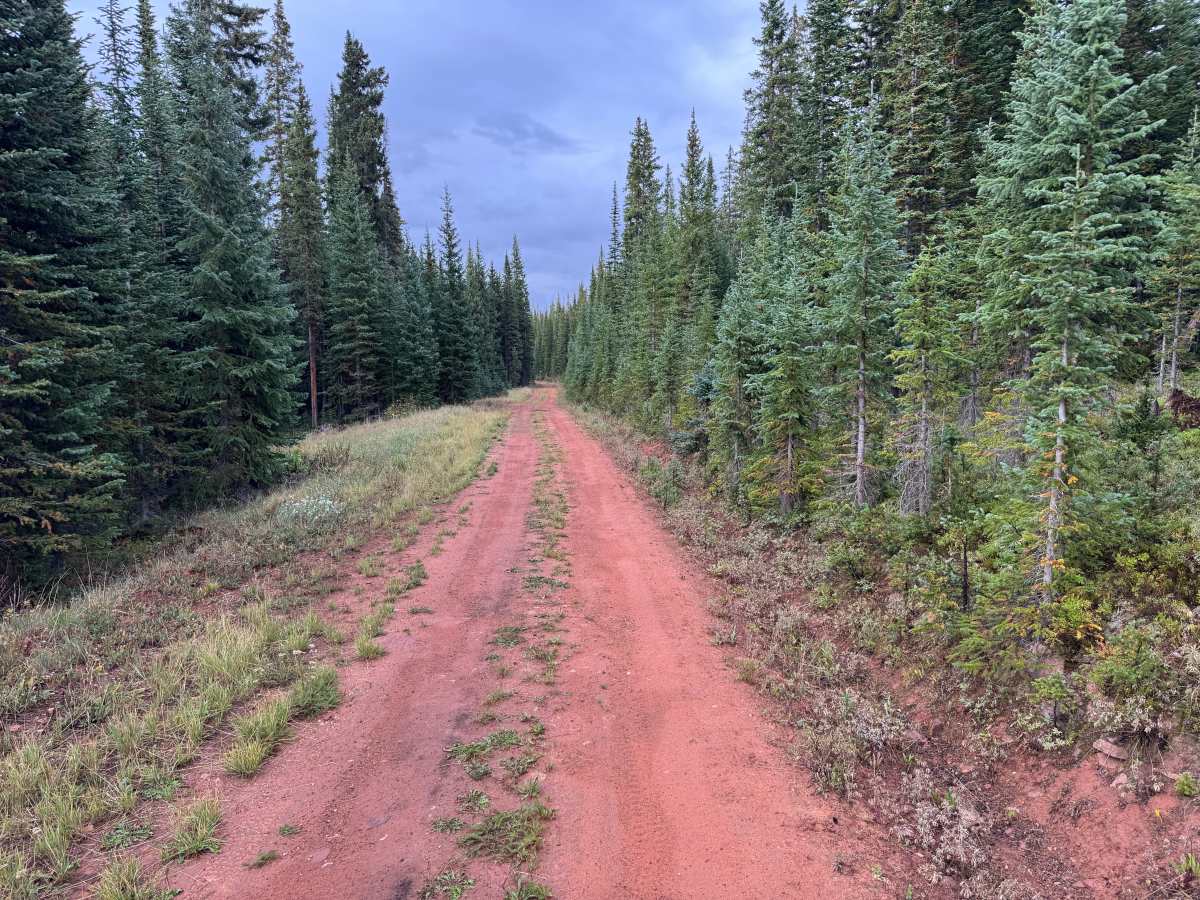 Red Canyon Road photo 3