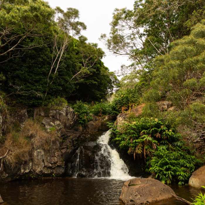 Waipoo waterfalls Waimea Canyon Park Kauai, Hawaii Near Kumuwela, Canyon, Halemanu-Kokee Loop
