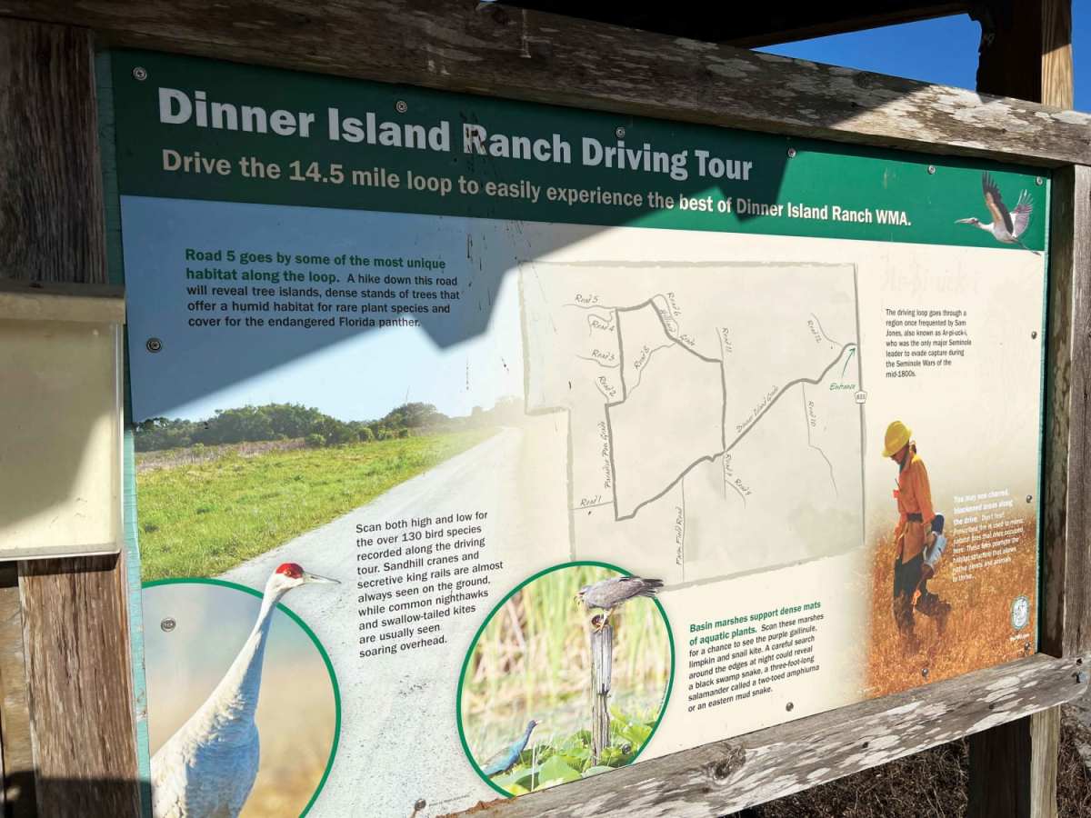 Dinner Island Ranch WMA photo 5