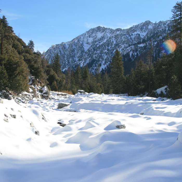 Near Vivian Creek Trail